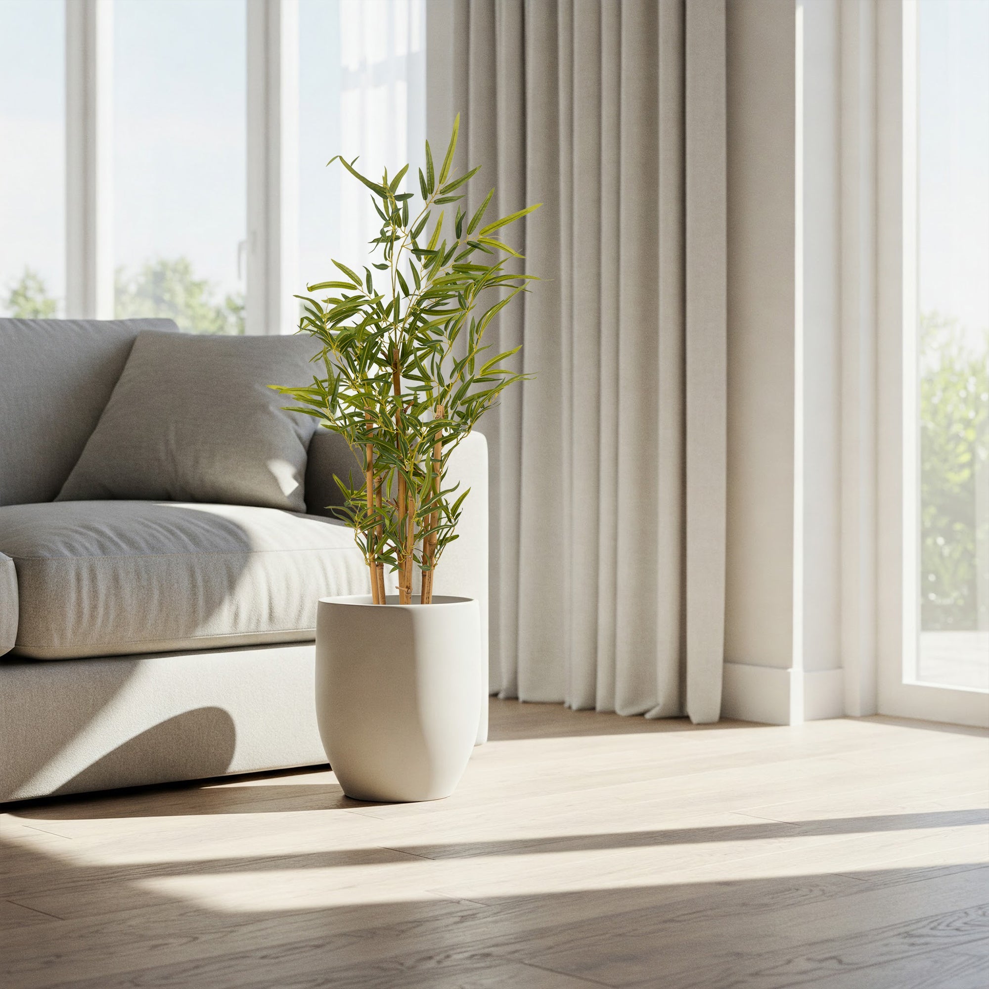 Golden Bamboo Plant - The Artment
