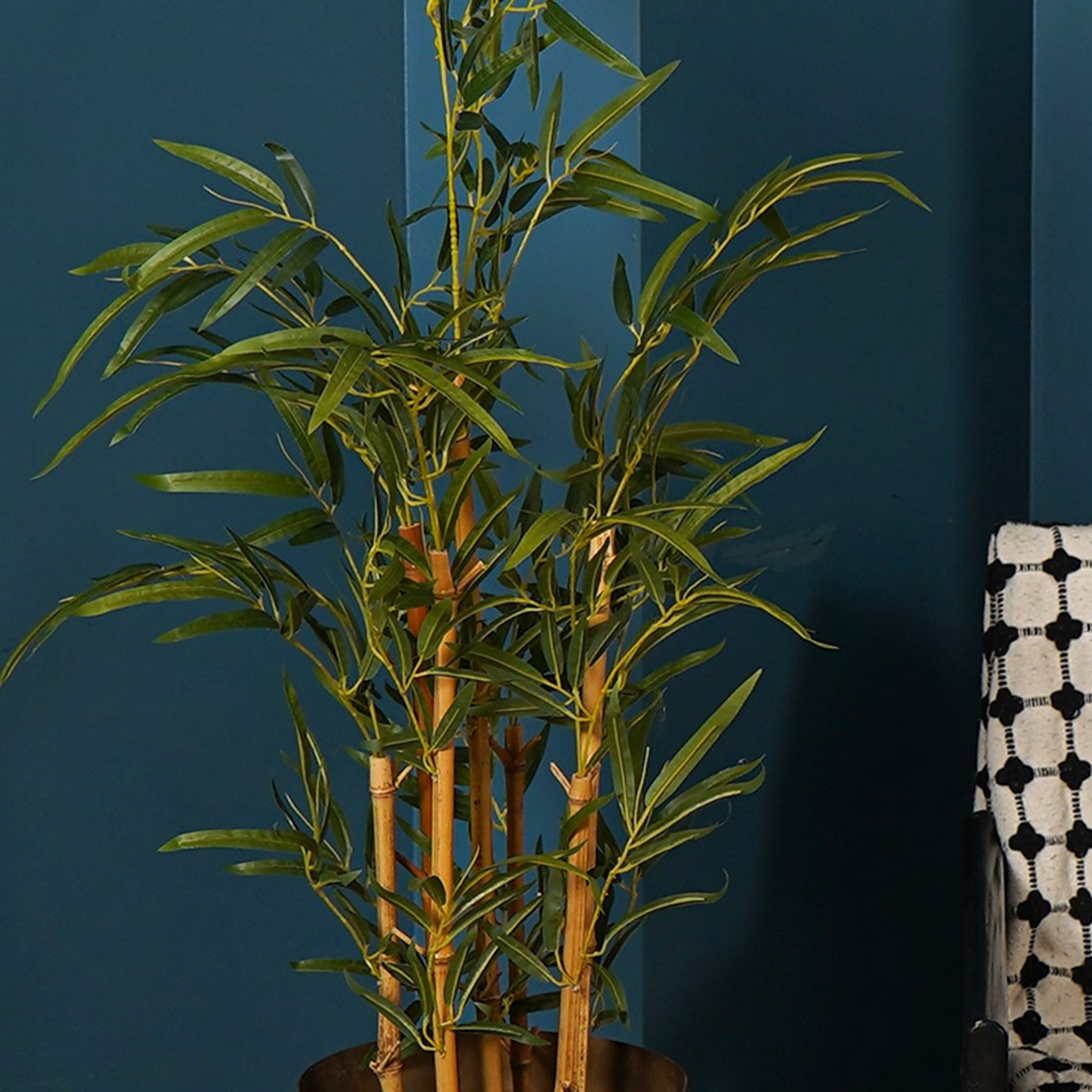 Golden Bamboo Plant - The Artment