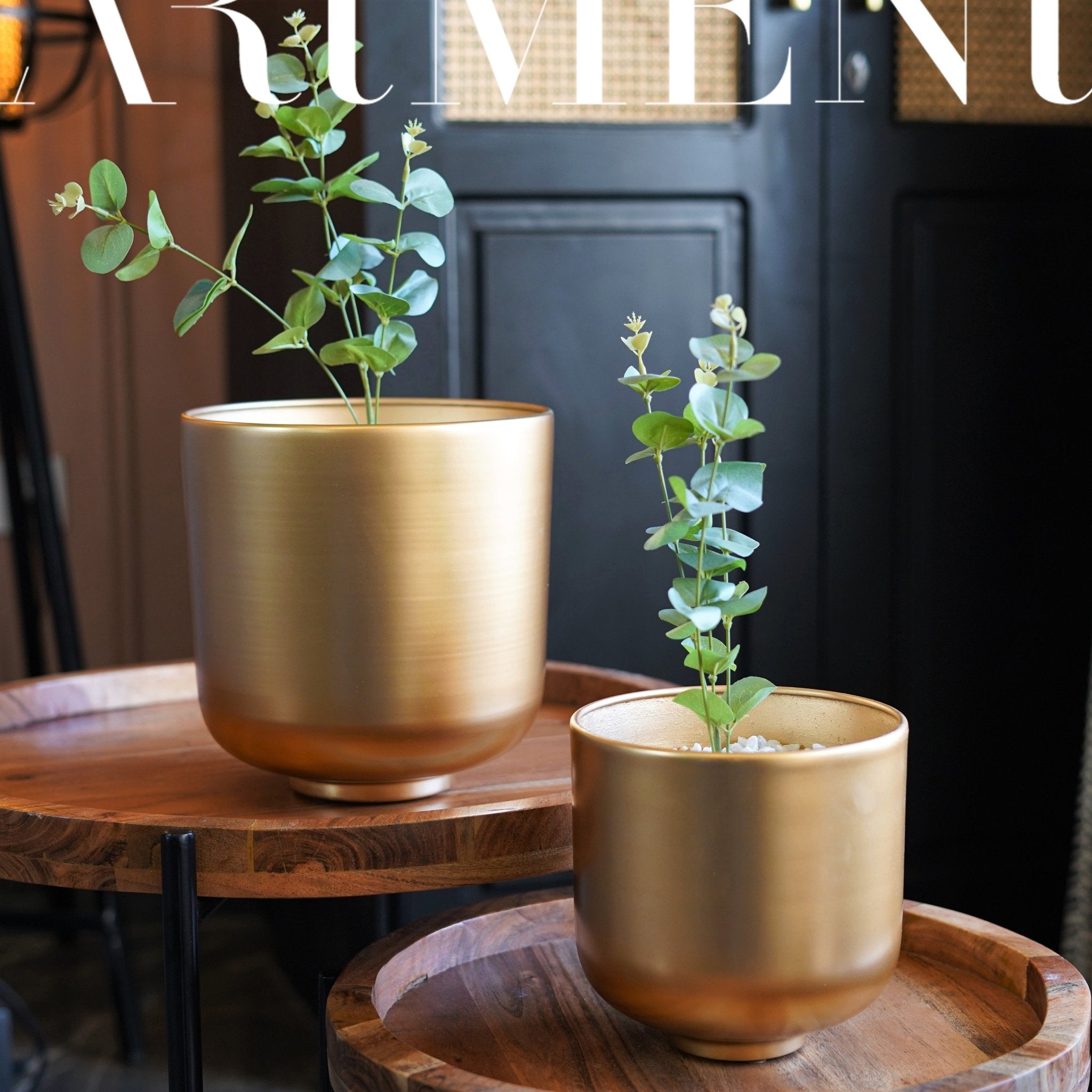 Golden Oasis Planter - The Artment
