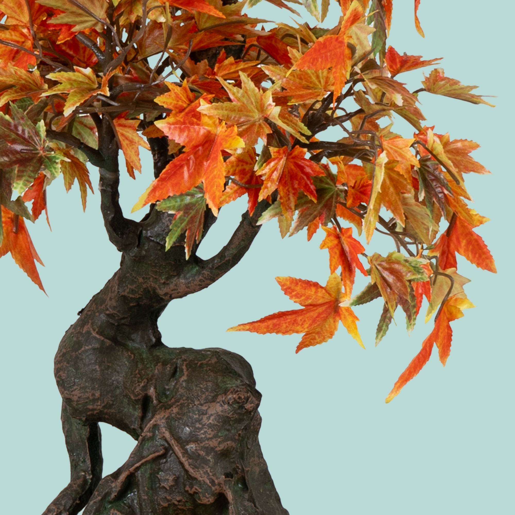 Japanese Maple Bonsai Plant - The Artment