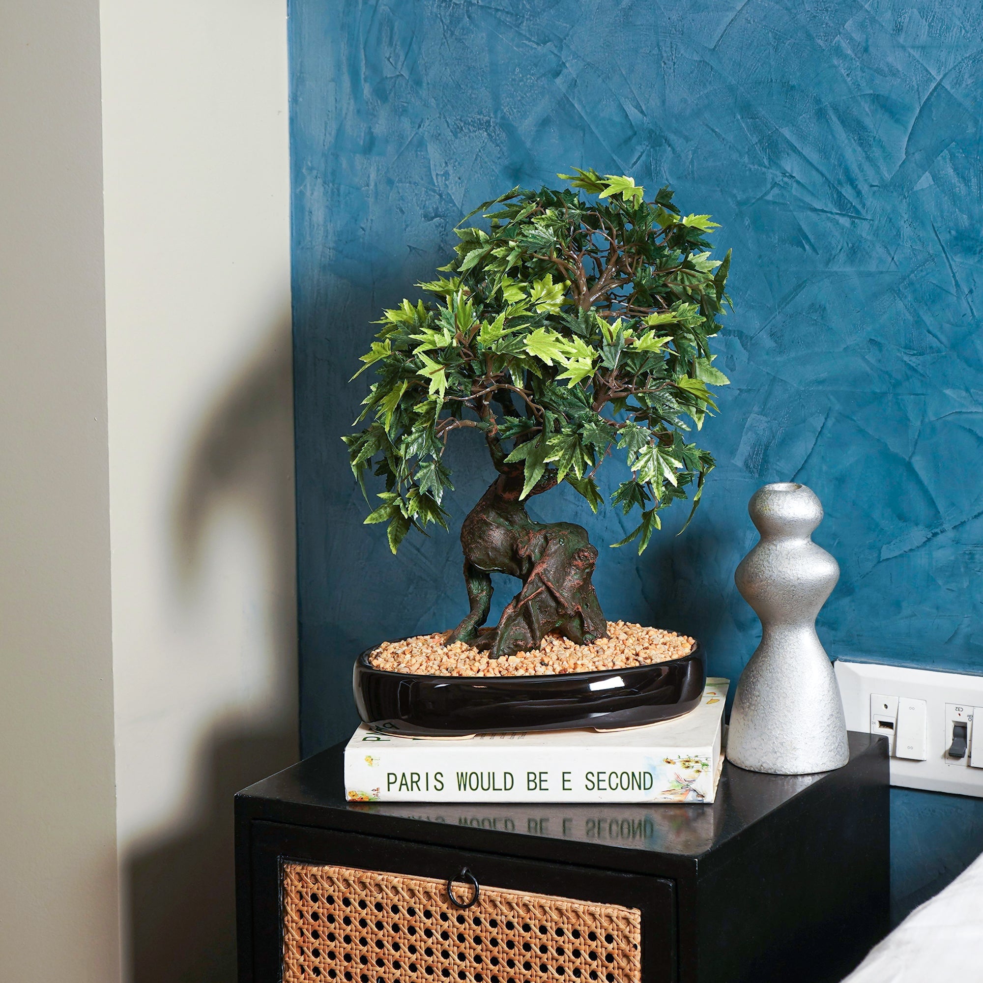 Japanese Maple Bonsai Plant - The Artment