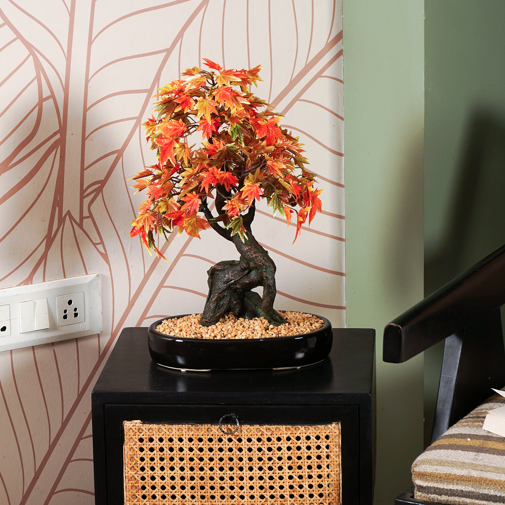 Japanese Maple Bonsai Plant - The Artment