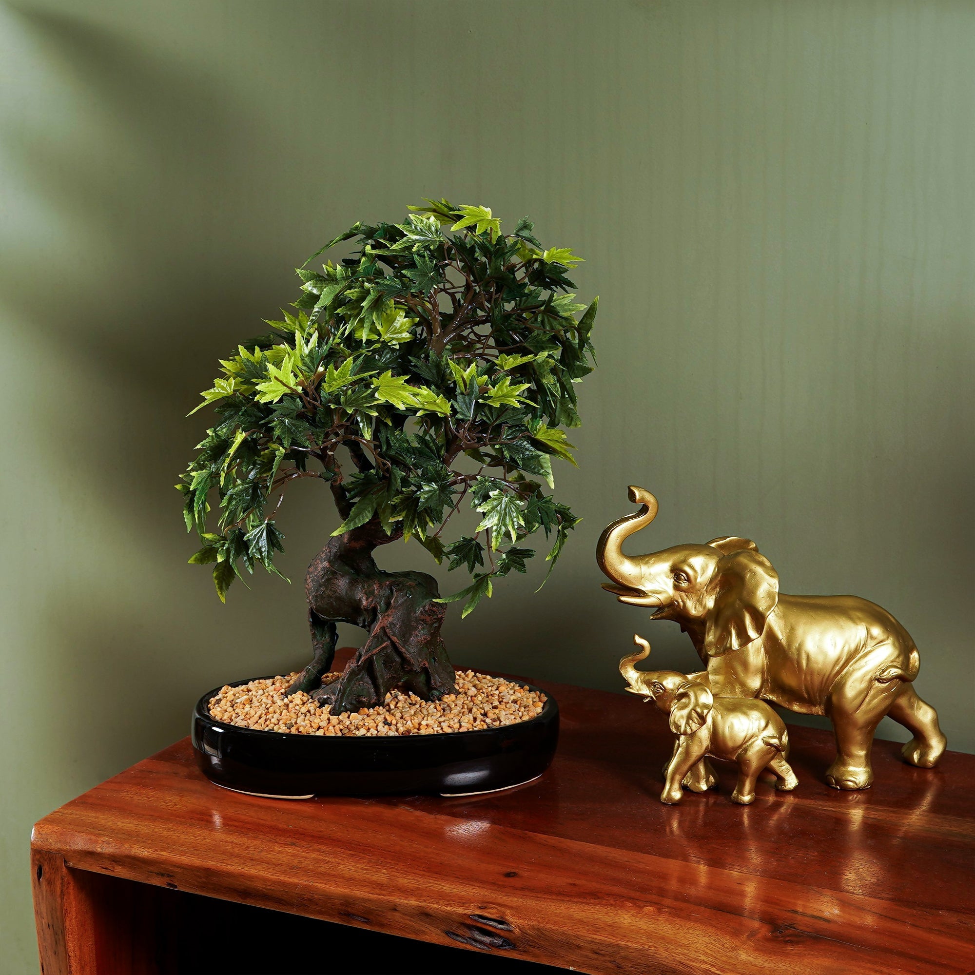 Japanese Maple Bonsai Plant - The Artment