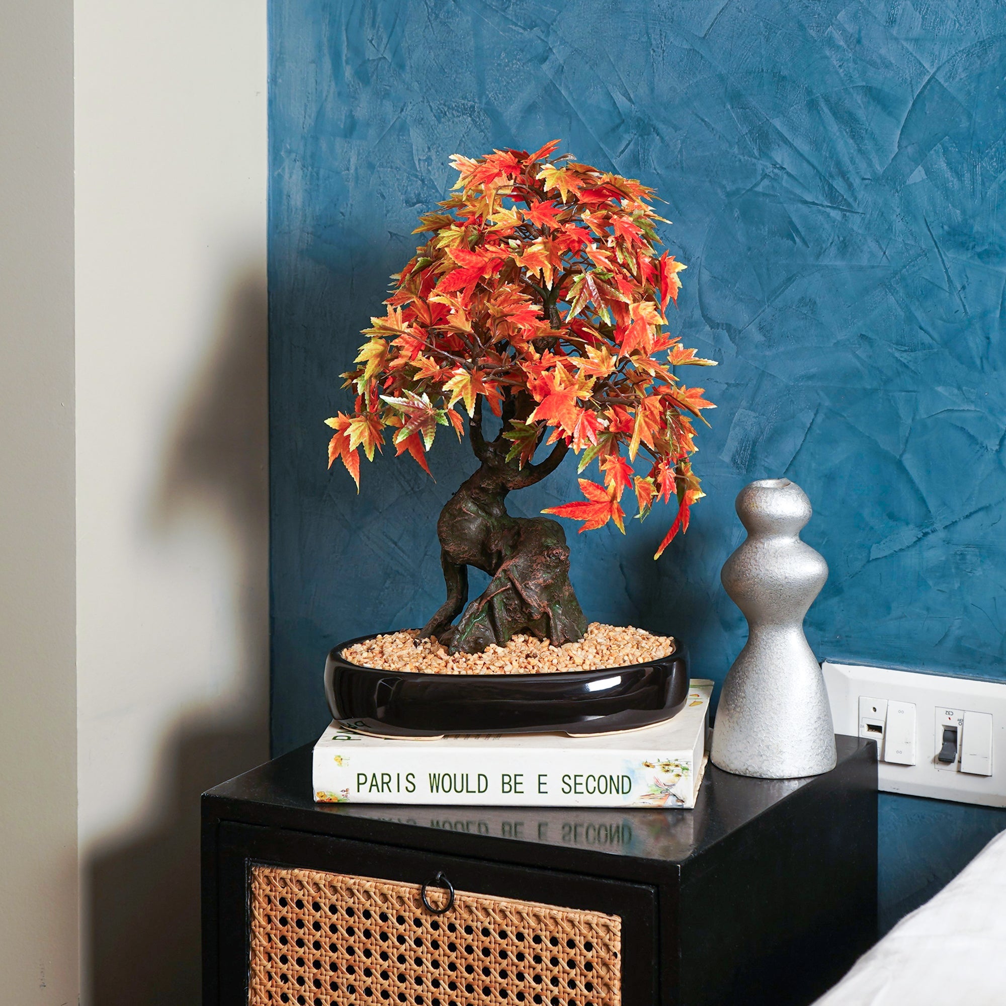 Japanese Maple Bonsai Plant - The Artment