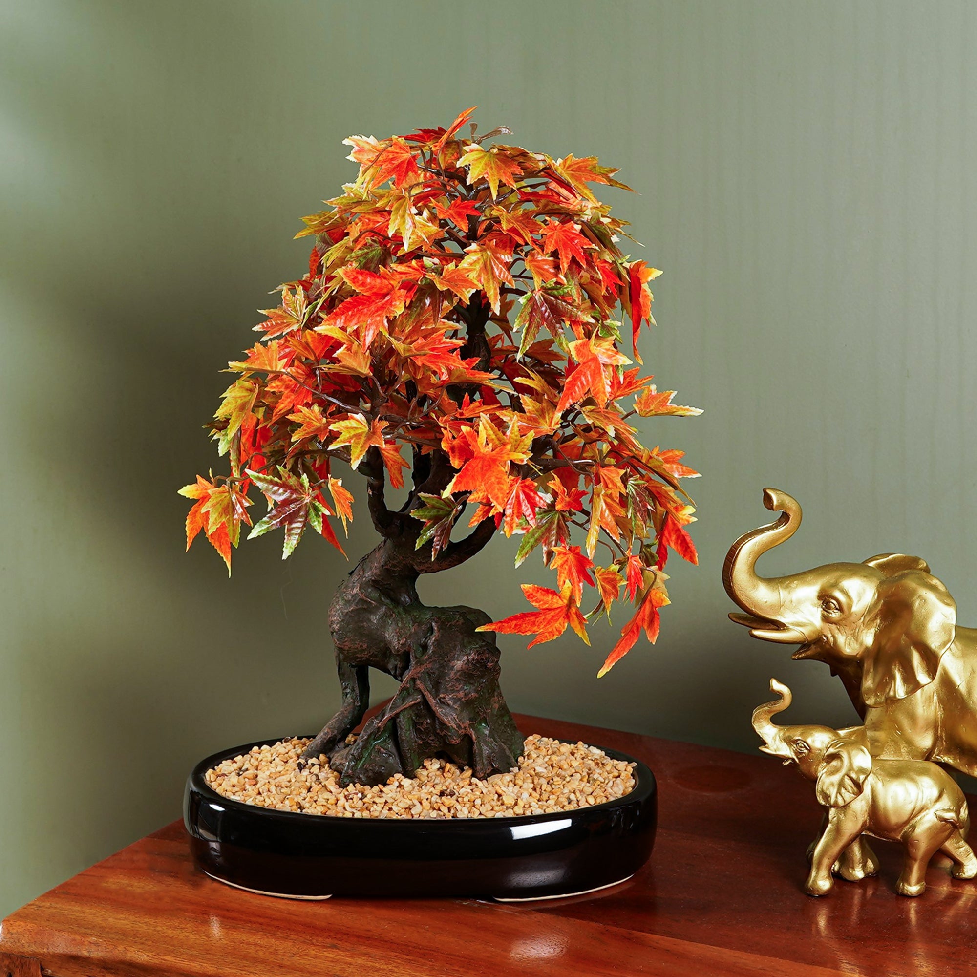 Japanese Maple Bonsai Plant - The Artment