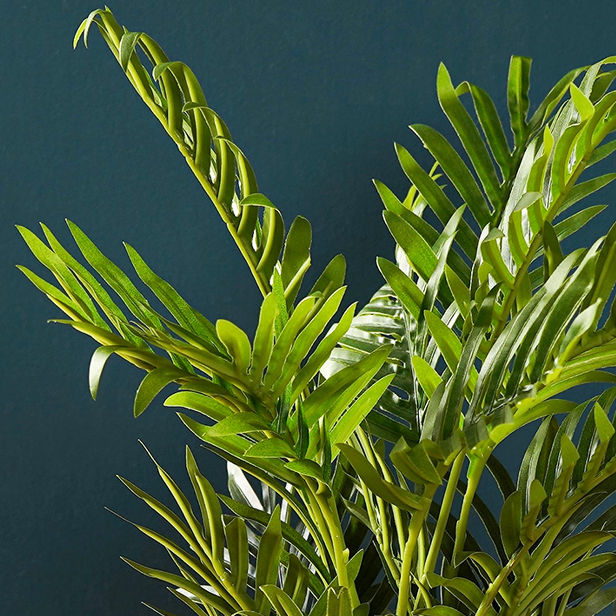 LushPalm - The Artment