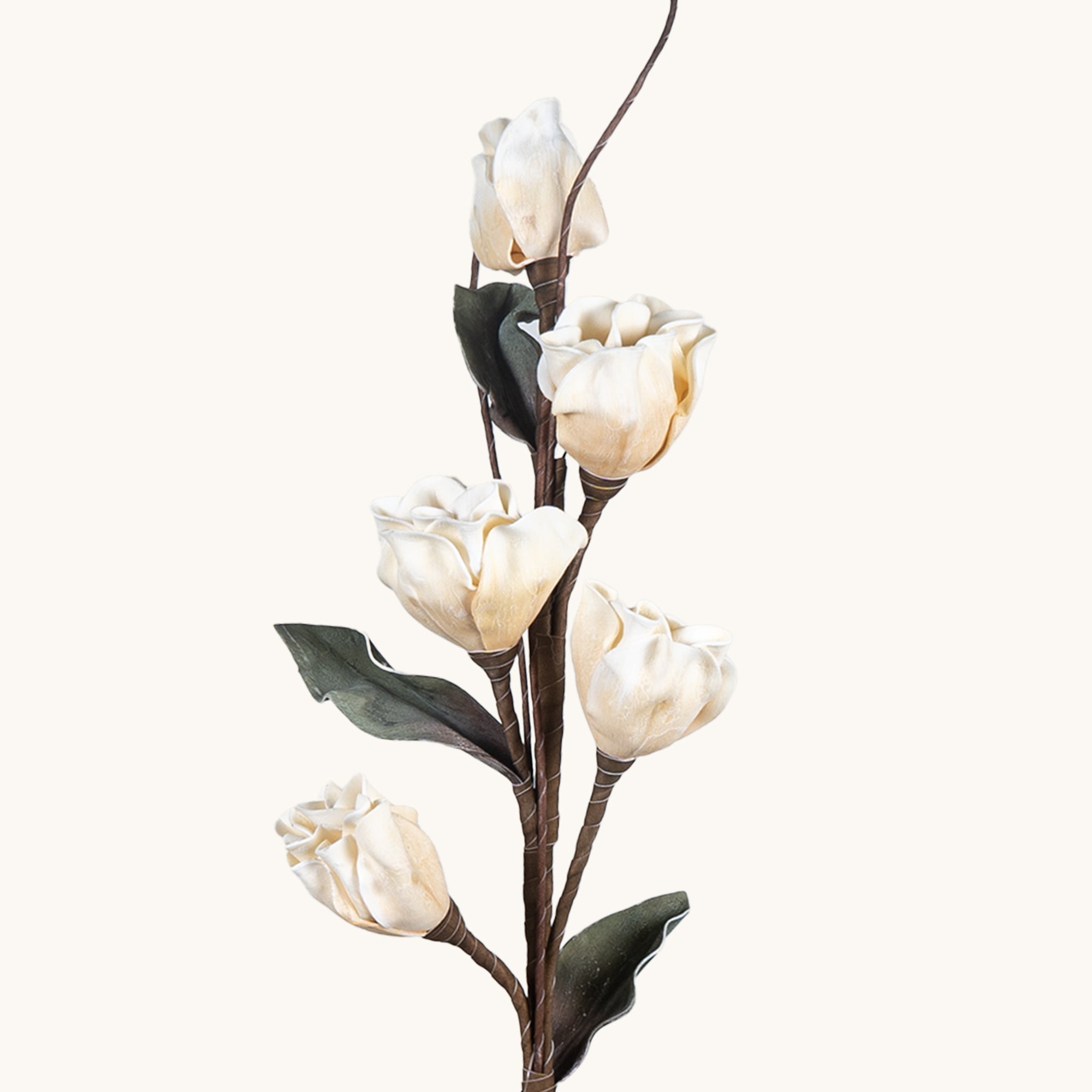 Magnolia Moonkissed - The Artment