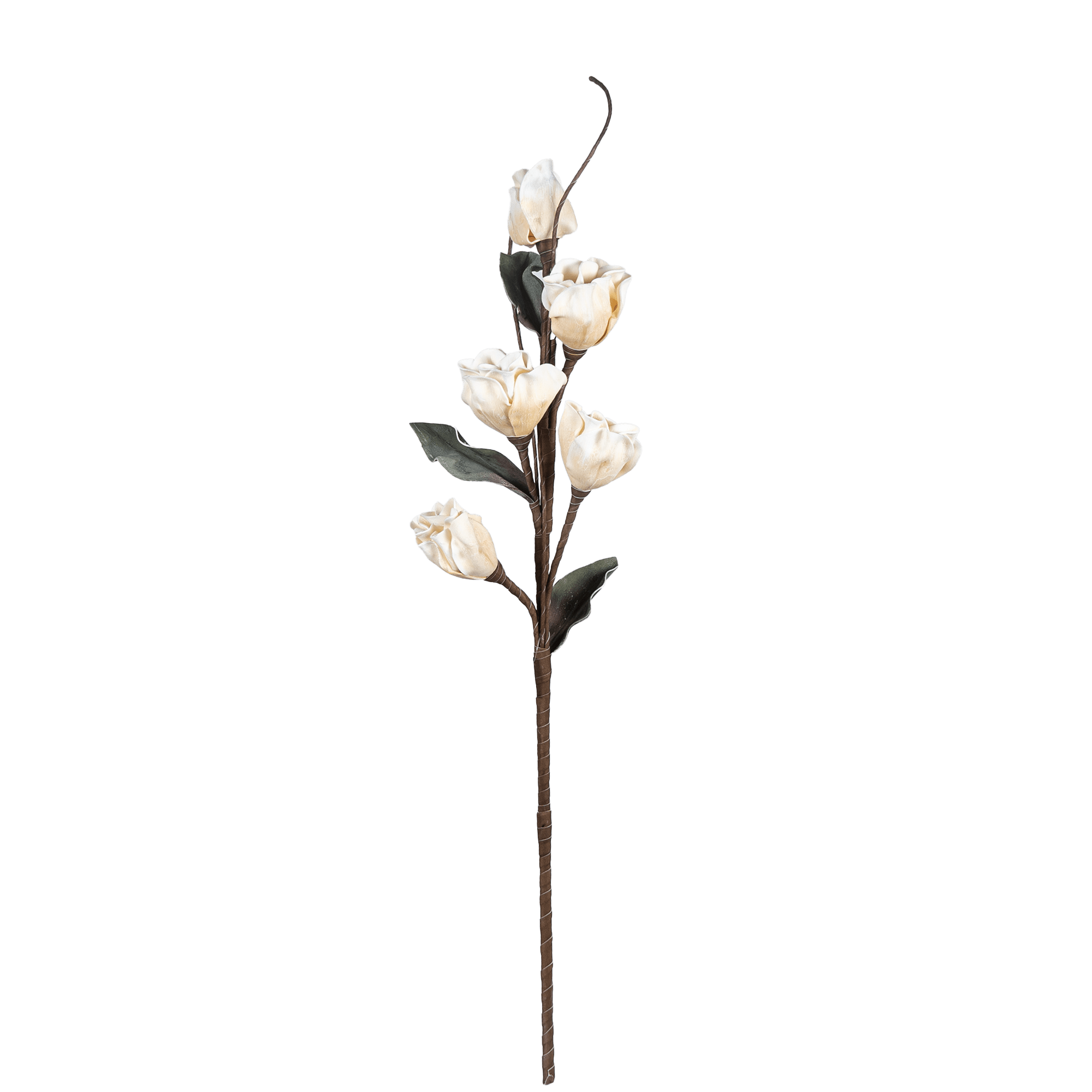 Magnolia Moonkissed - The Artment