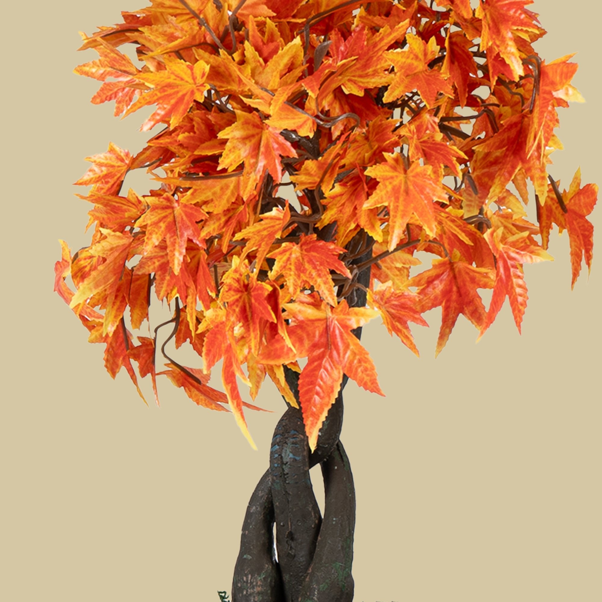 Maple Bonsai Plant - The Artment