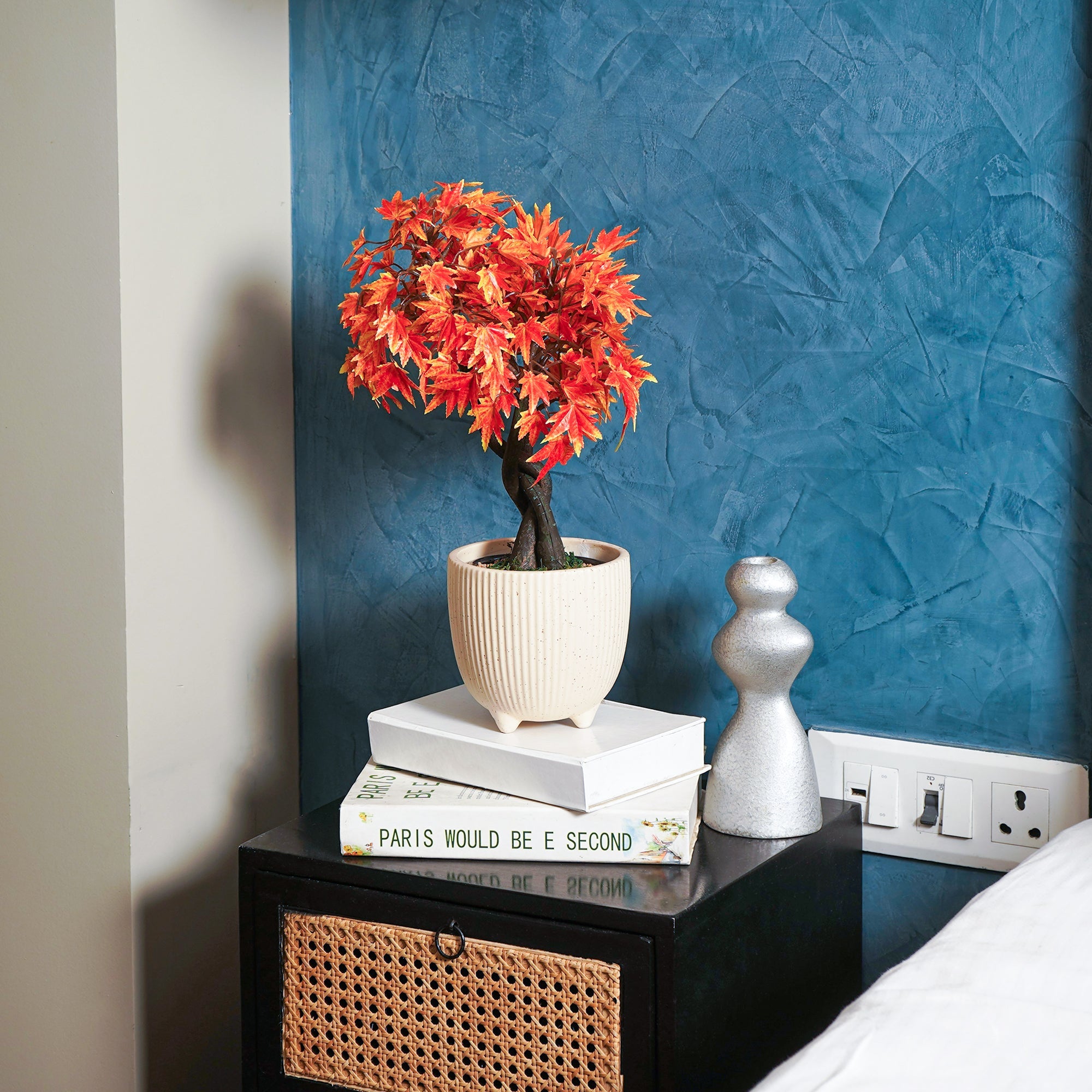 Maple Bonsai Plant - The Artment