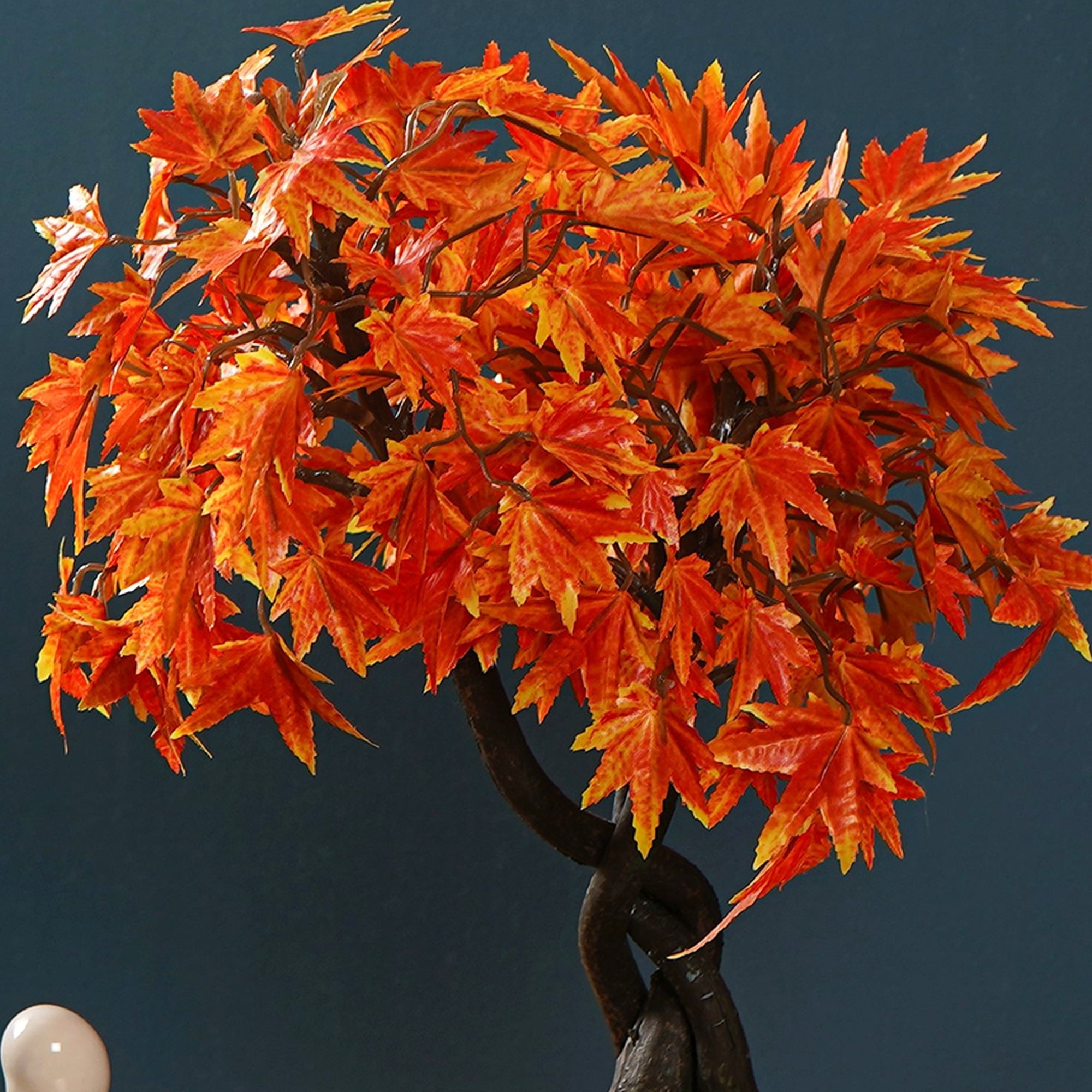 Maple Bonsai Plant - The Artment