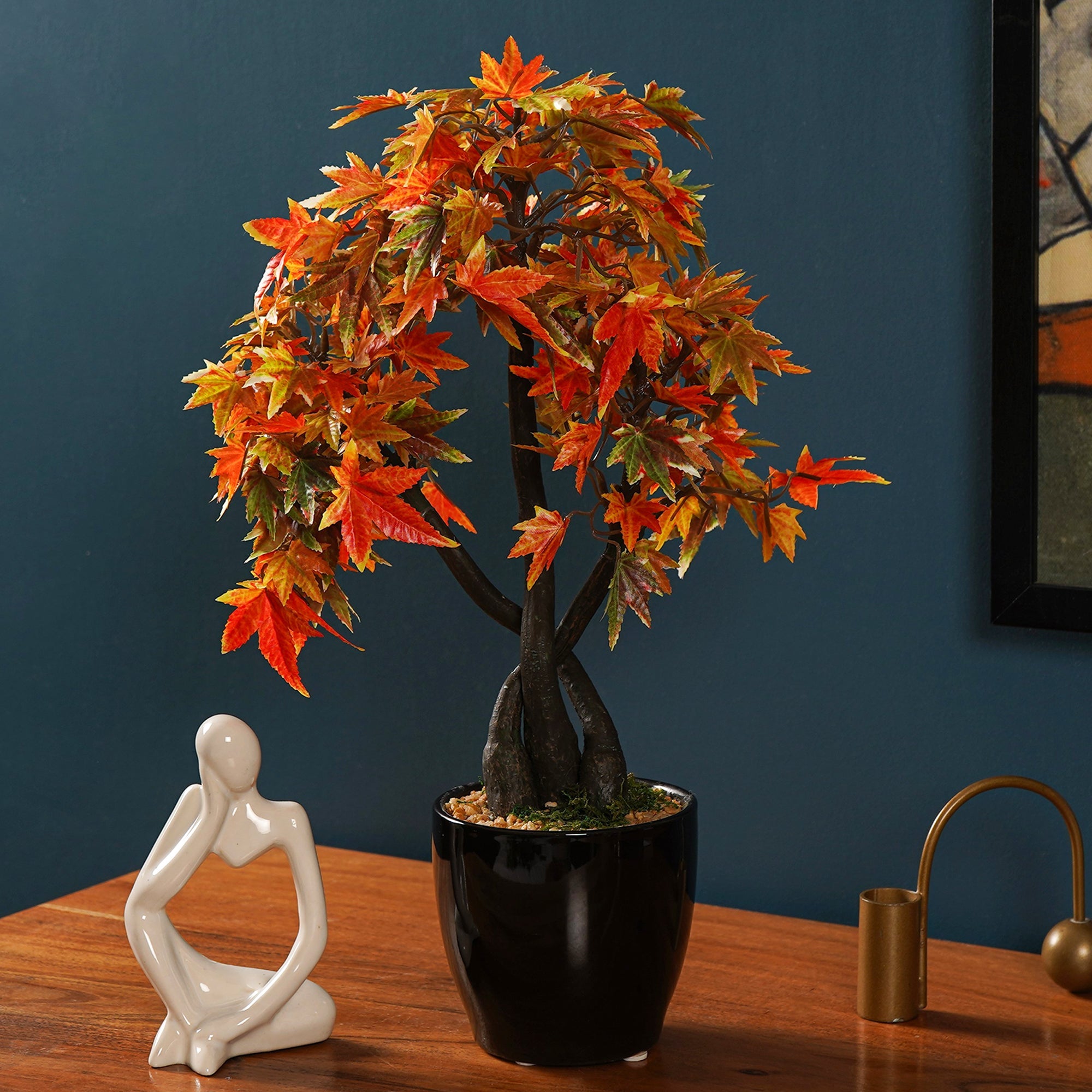 Maple Bonsai Plant - The Artment