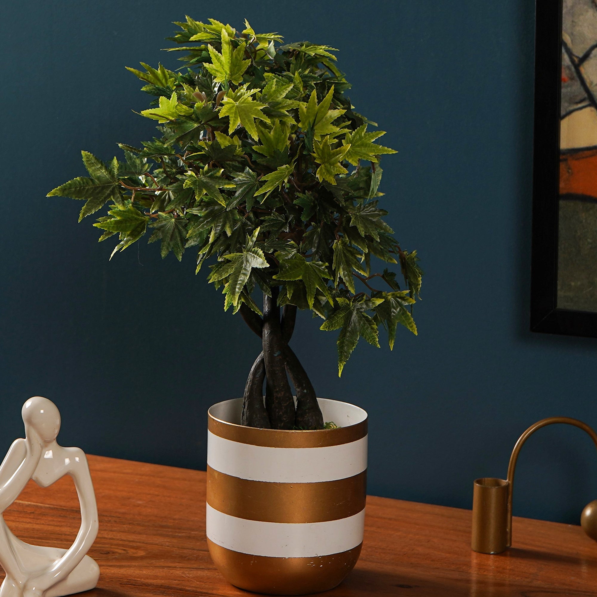 Maple Bonsai Plant - The Artment