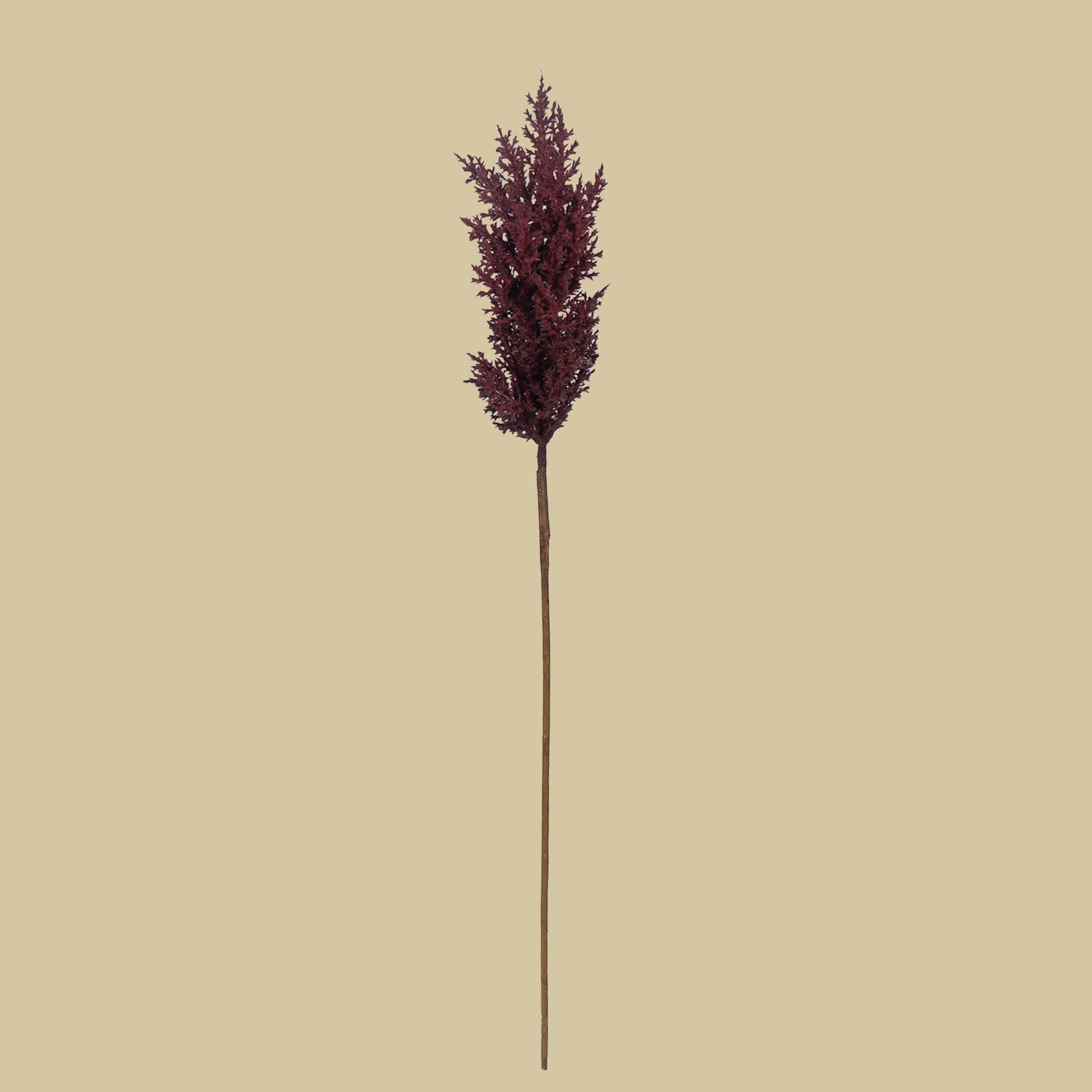 Sabina Pampas Flower - The Artment