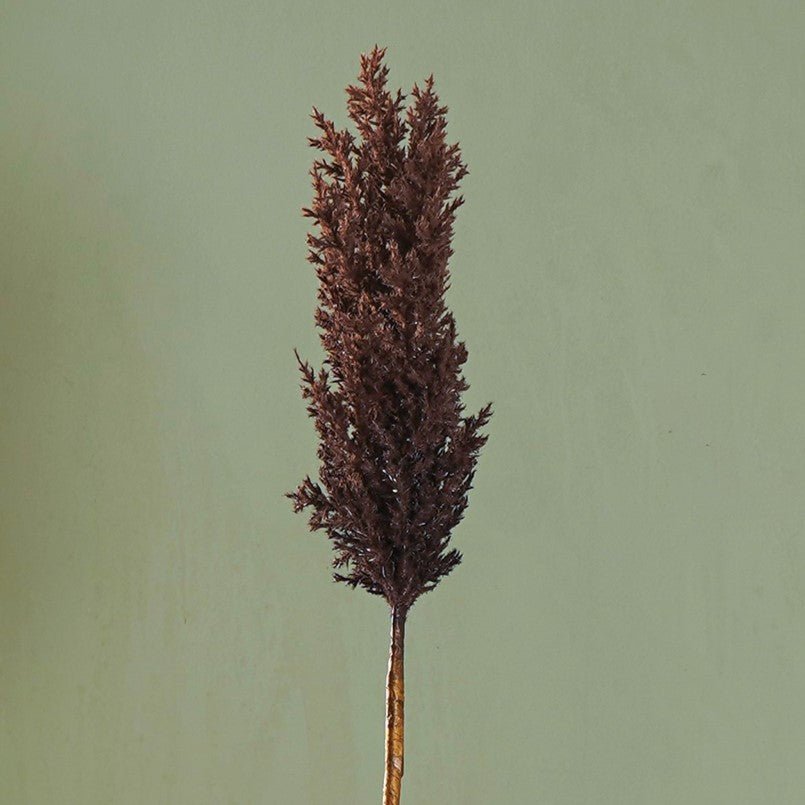 Sabina Pampas Flower - The Artment