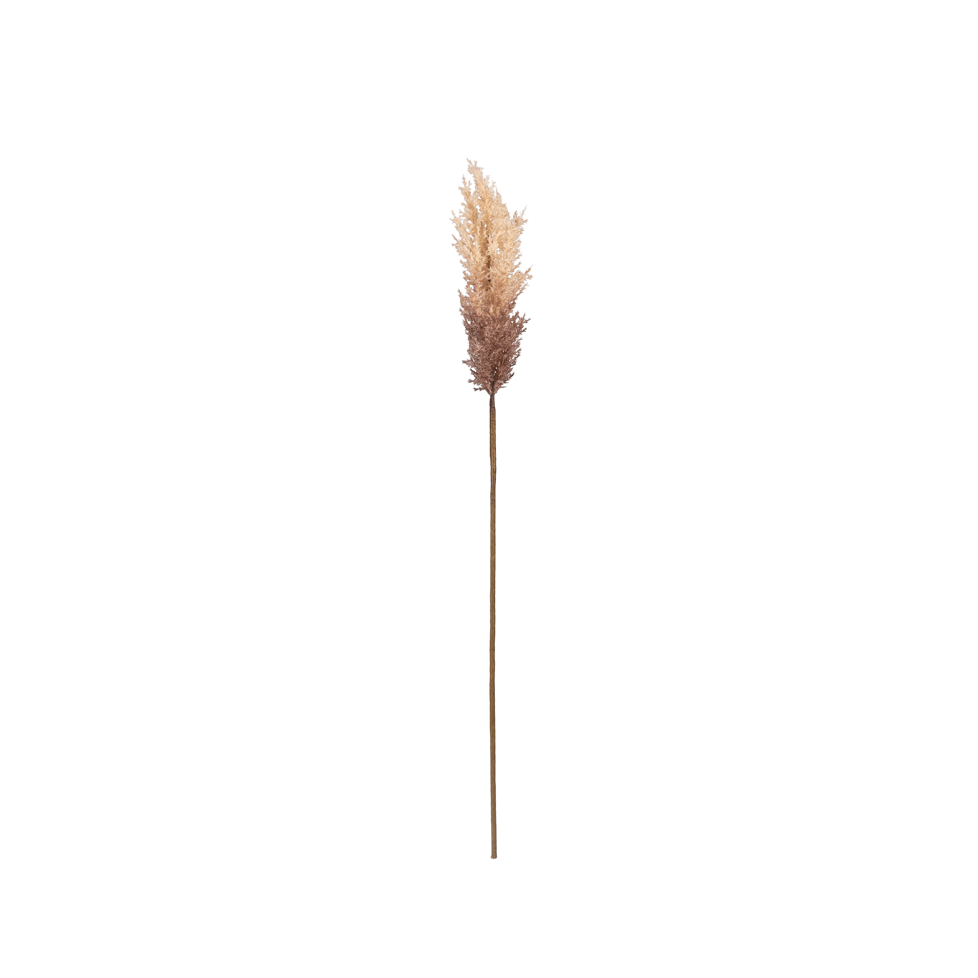 Sabina Pampas Flower - The Artment