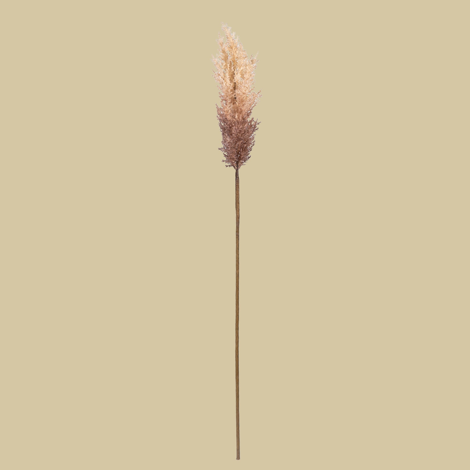 Sabina Pampas Flower - The Artment