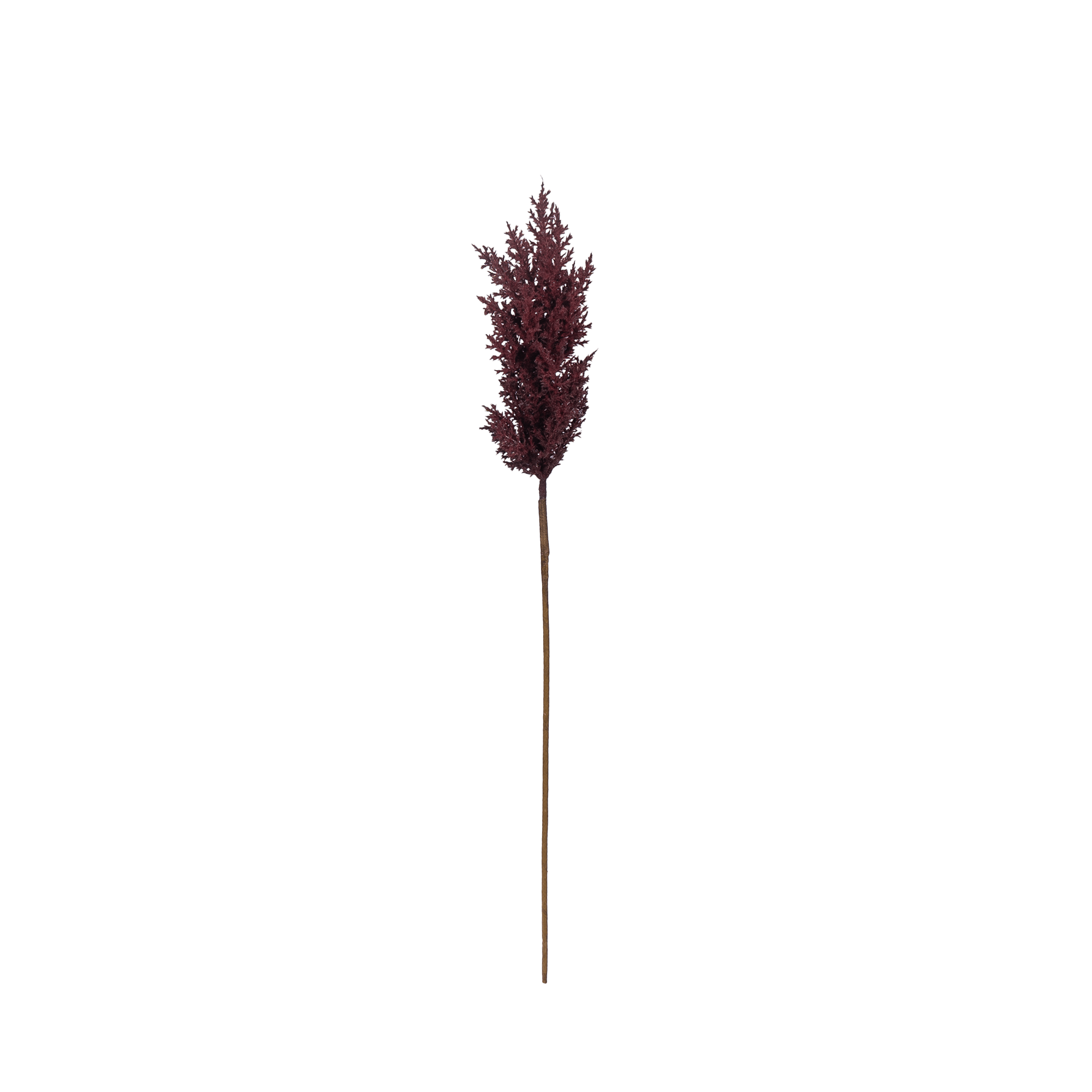 Sabina Pampas Flower - The Artment