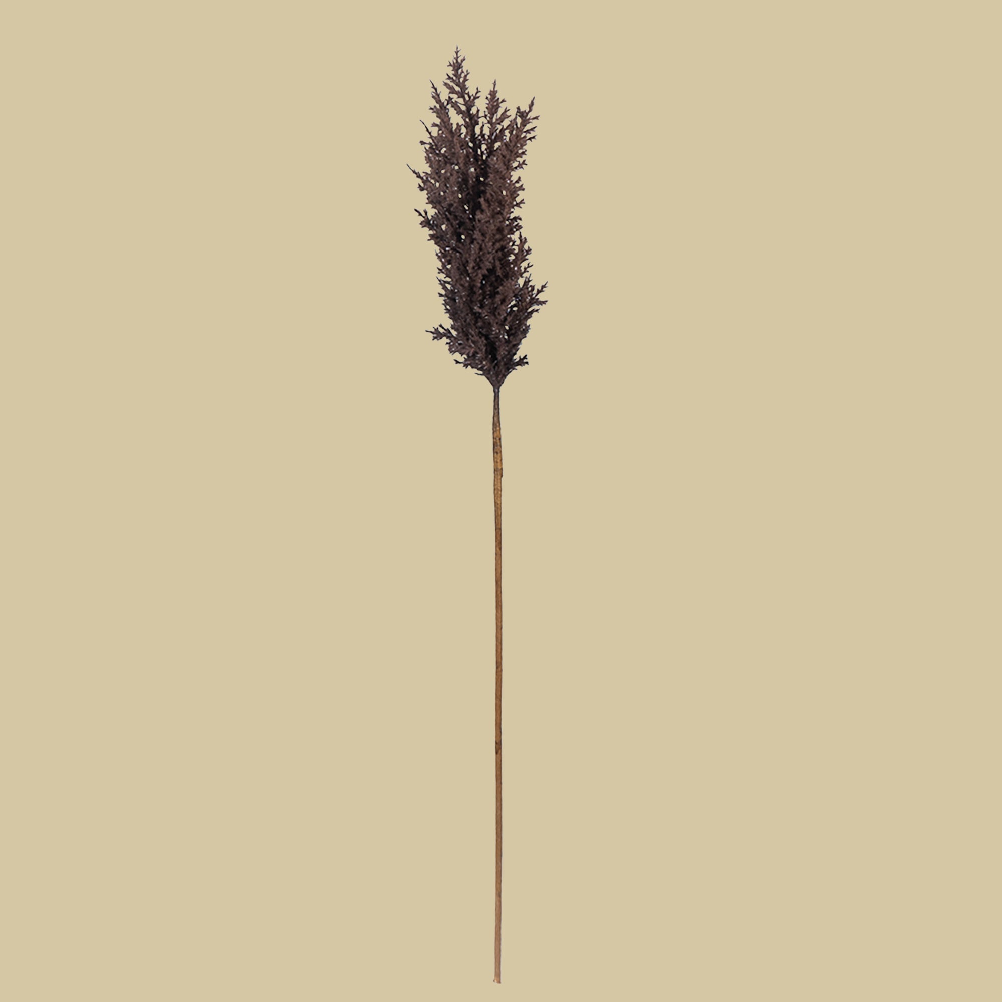Sabina Pampas Flower - The Artment
