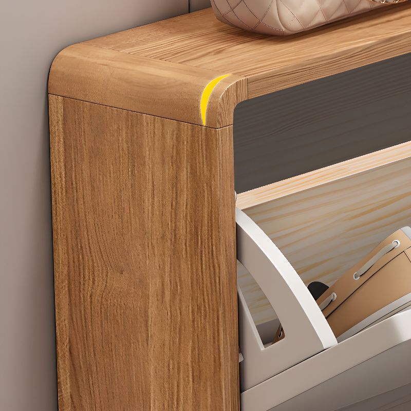 Sanctum Shoe Organizer Cabinet - The Artment