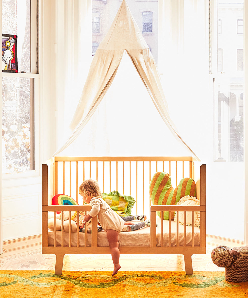 A toddler stands in the Sparrow Toddler Bed, surrounded by colorful cushions and a canopy, in a sunlit room.