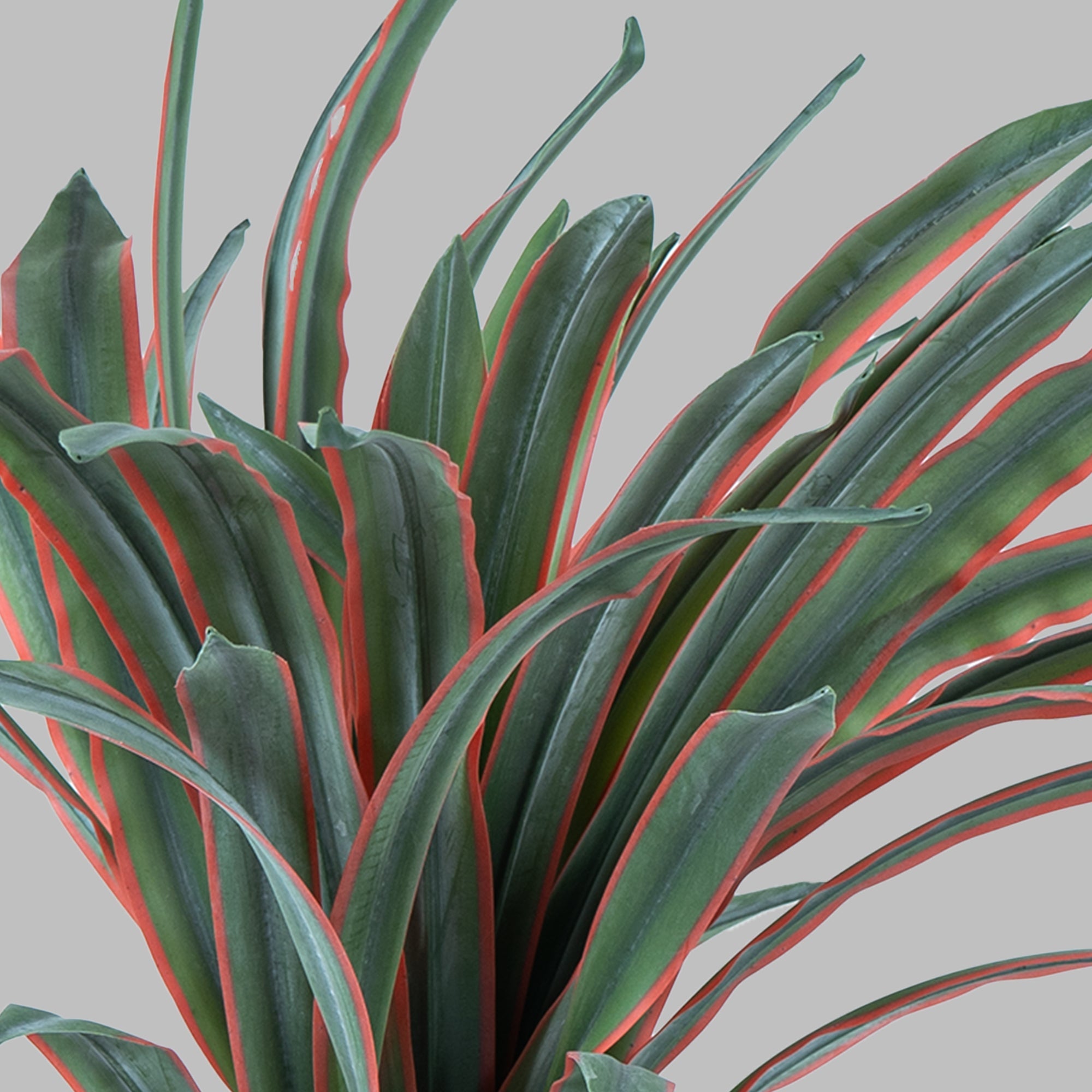SunBliss Pineapple - The Artment