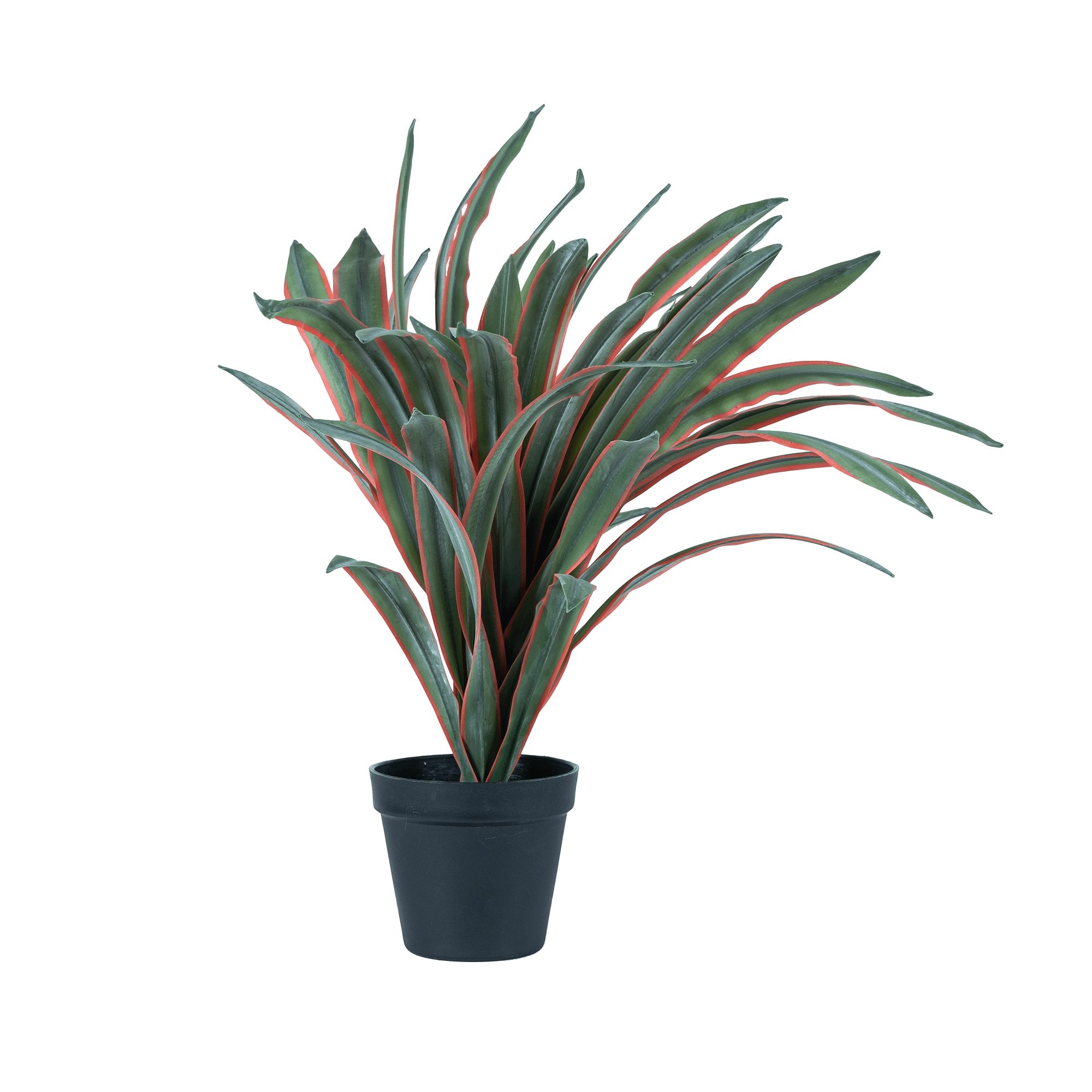 SunBliss Pineapple - The Artment