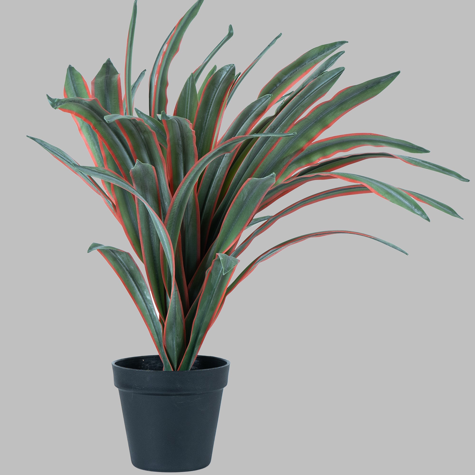 SunBliss Pineapple - The Artment