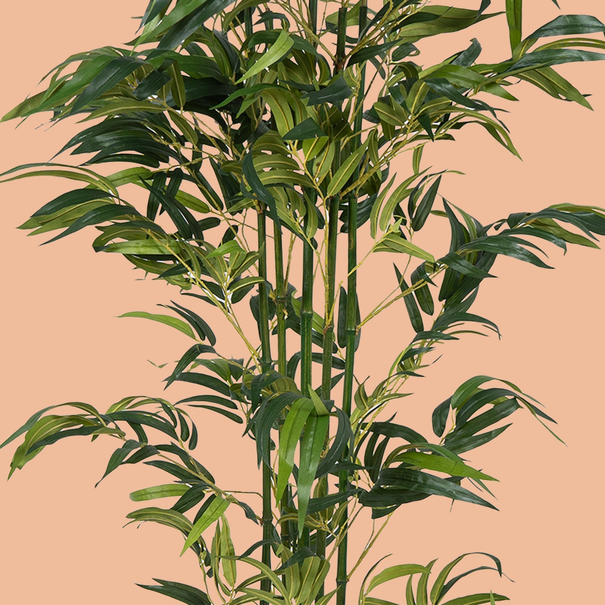 TranquilBamboo - The Artment