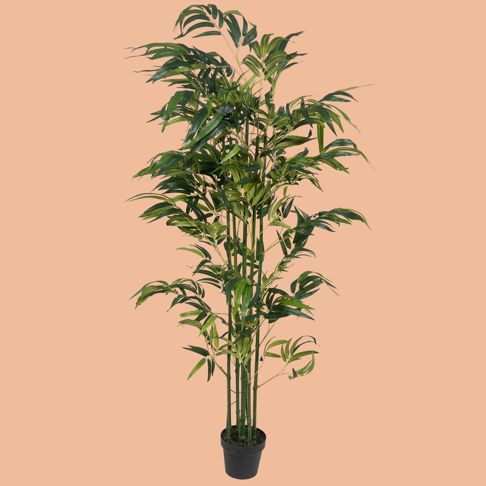 TranquilBamboo - The Artment