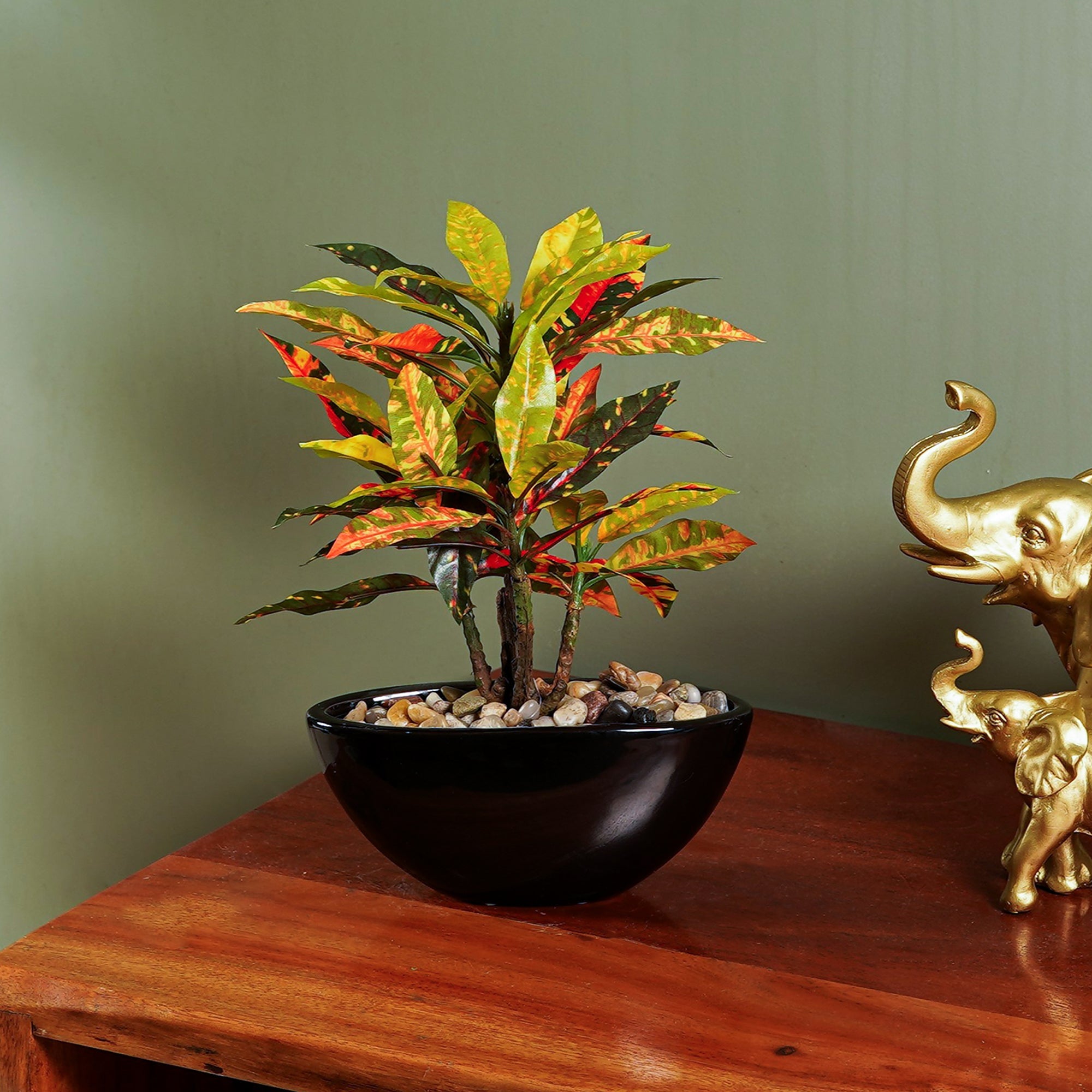 Tropi Garden Croton - The Artment