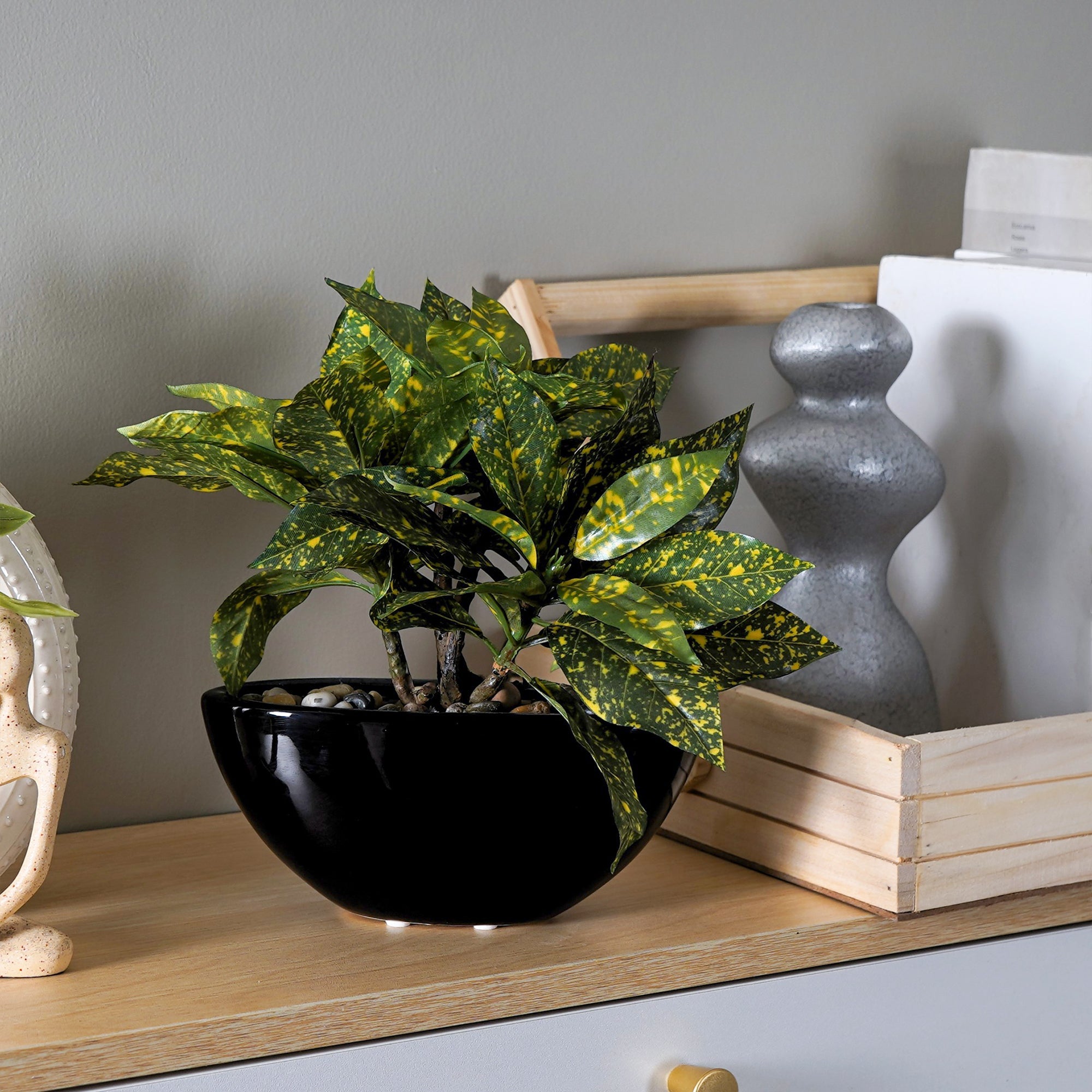 Tropi Garden Croton - The Artment
