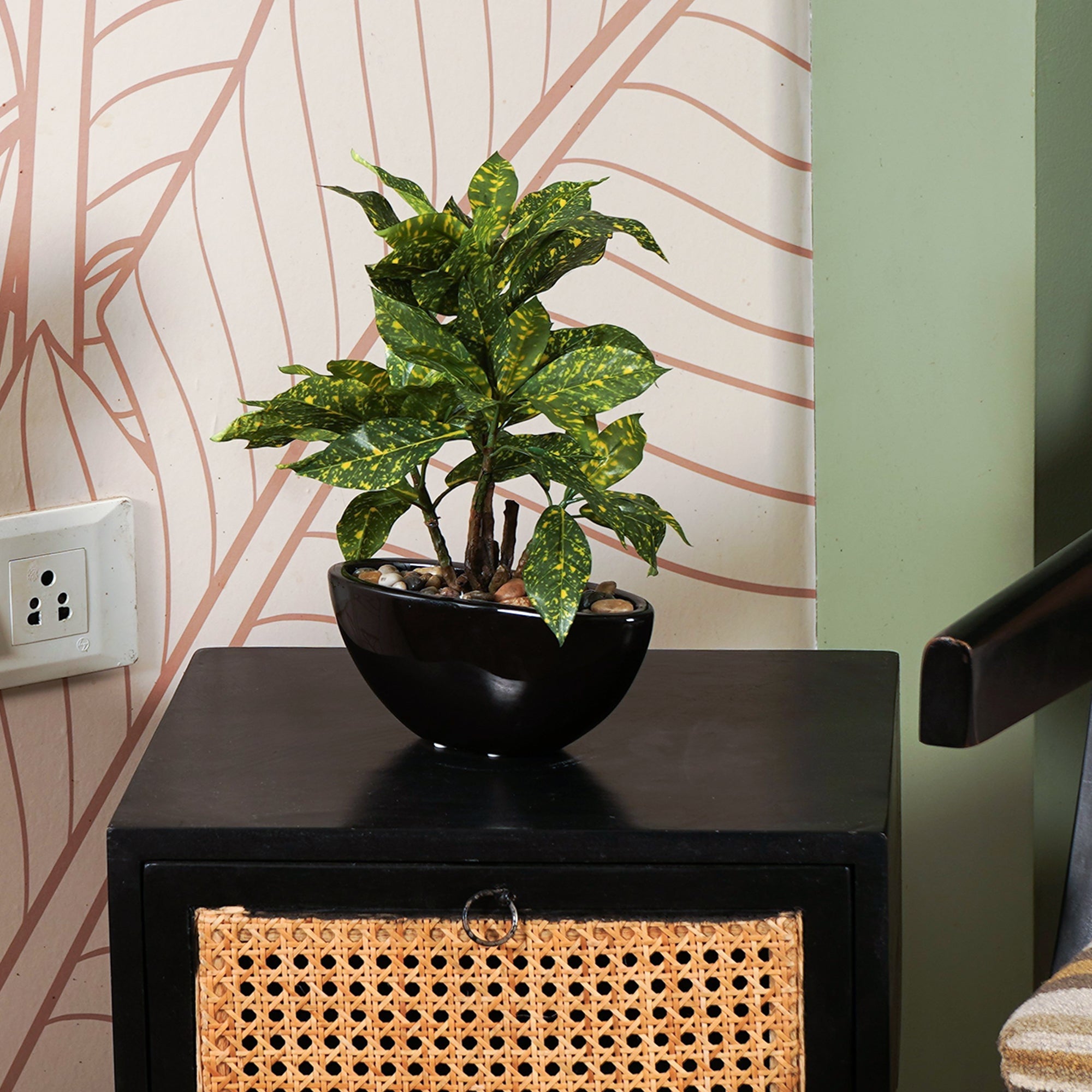 Tropi Garden Croton - The Artment