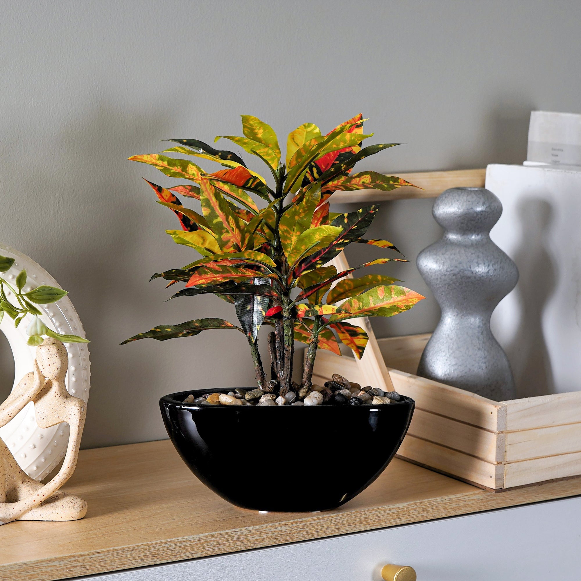 Tropi Garden Croton - The Artment