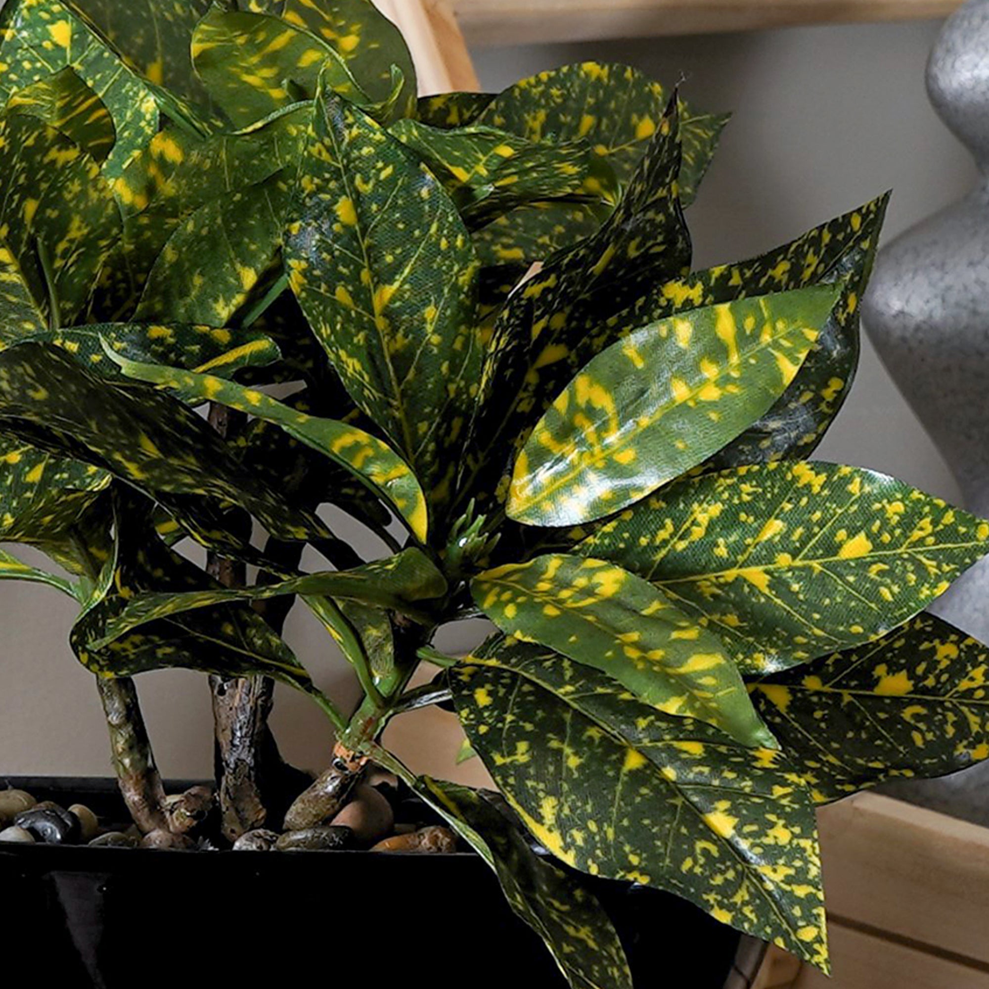 Tropi Garden Croton - The Artment