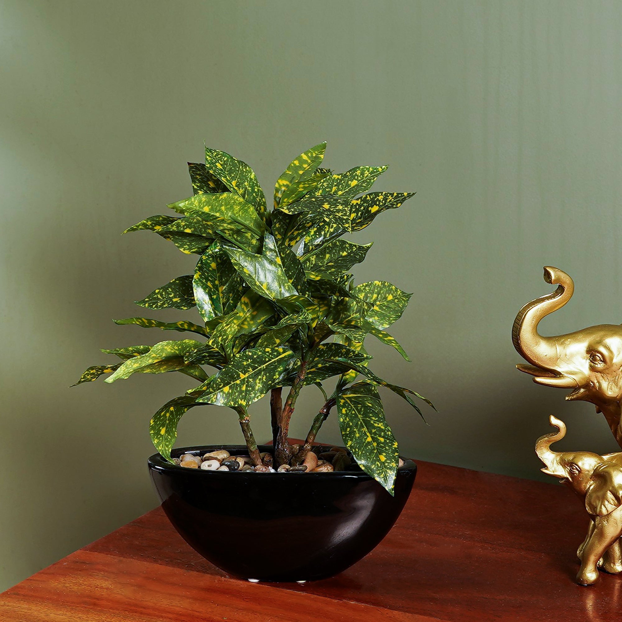 Tropi Garden Croton - The Artment