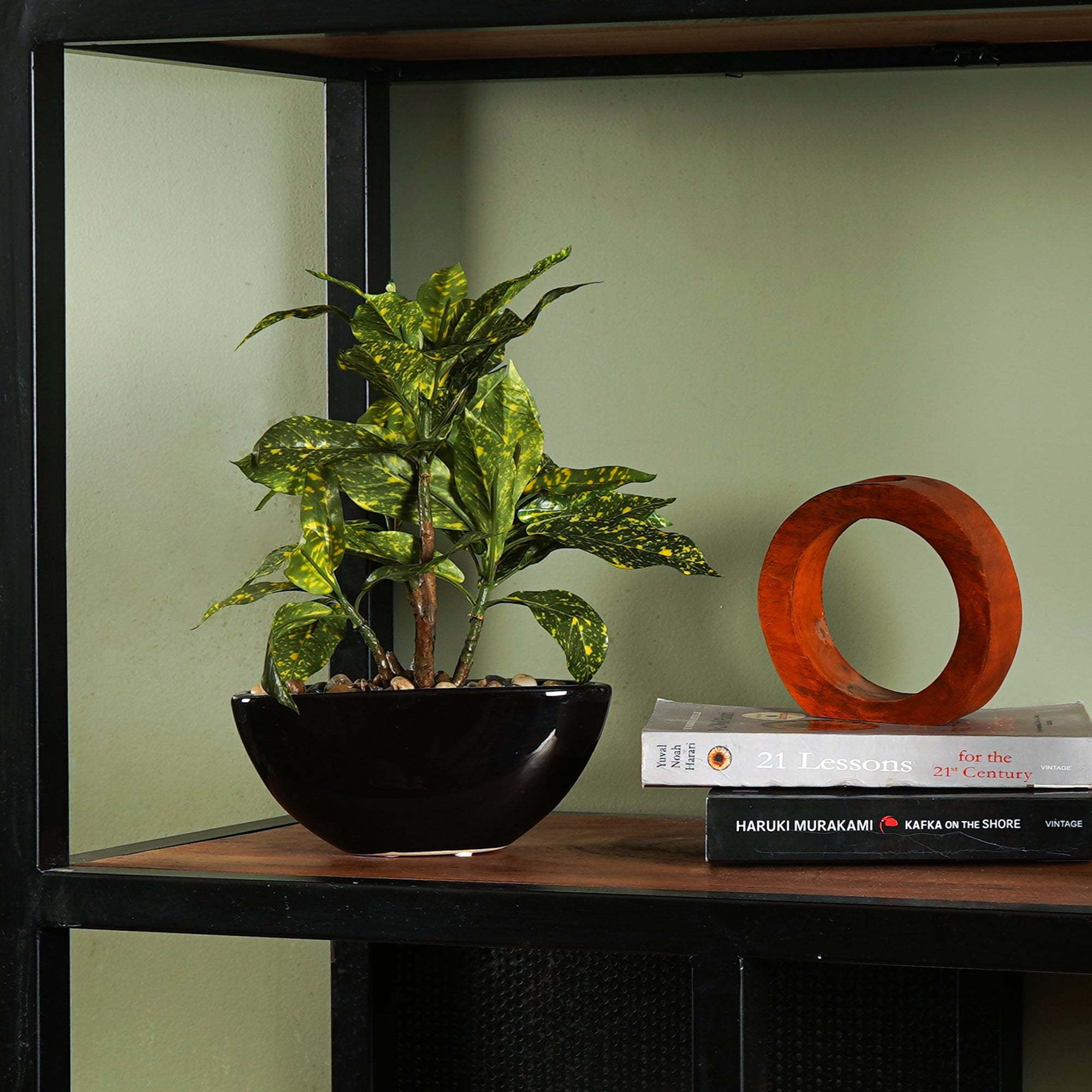 Tropi Garden Croton - The Artment