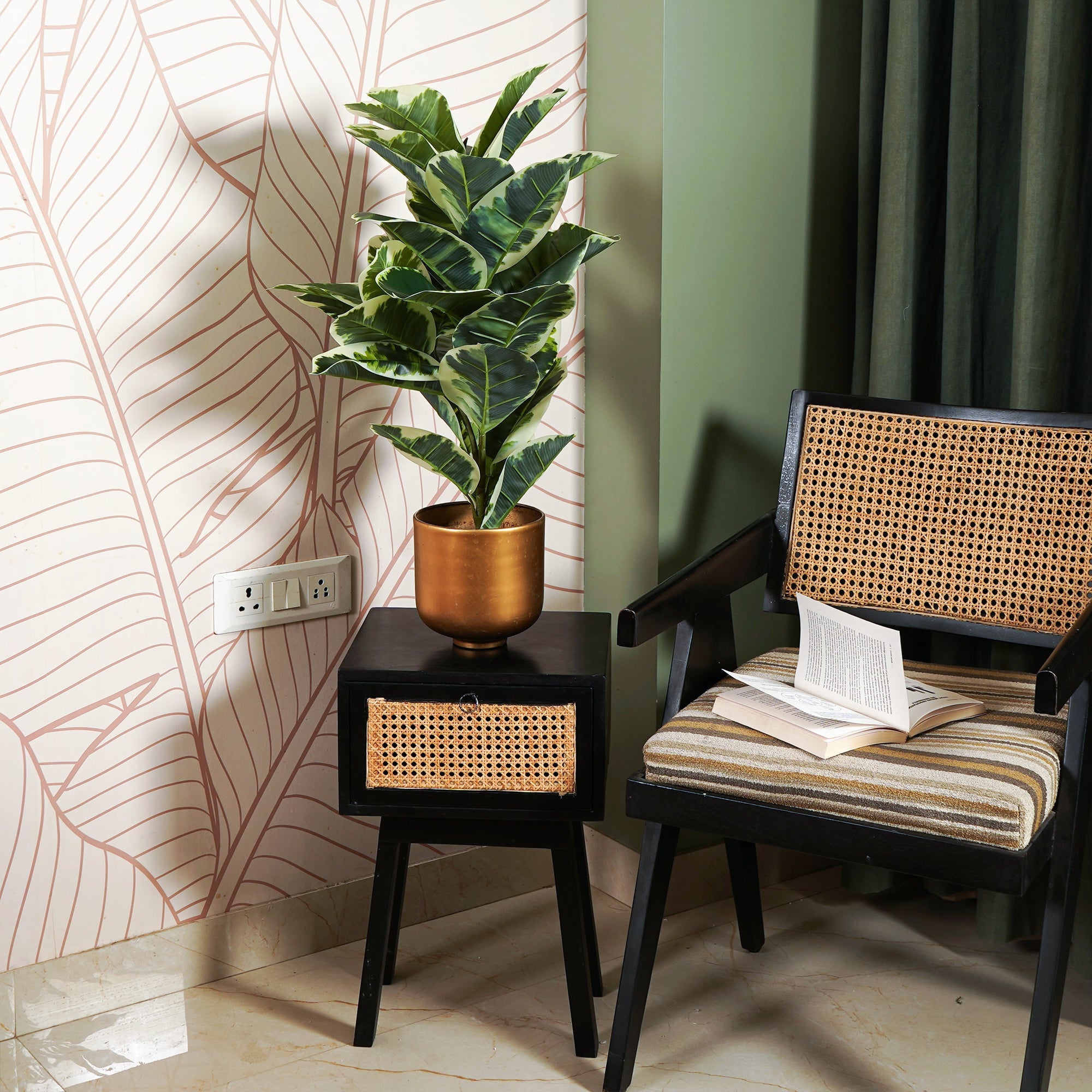 Verdora Rubber plant - The Artment
