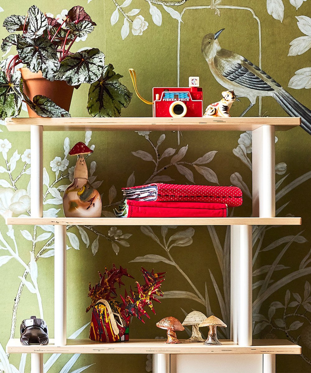 The Vertical Mini Library, adorned with books, a potted plant, a red camera, and decorative items, stands out against bird-themed wallpaper.