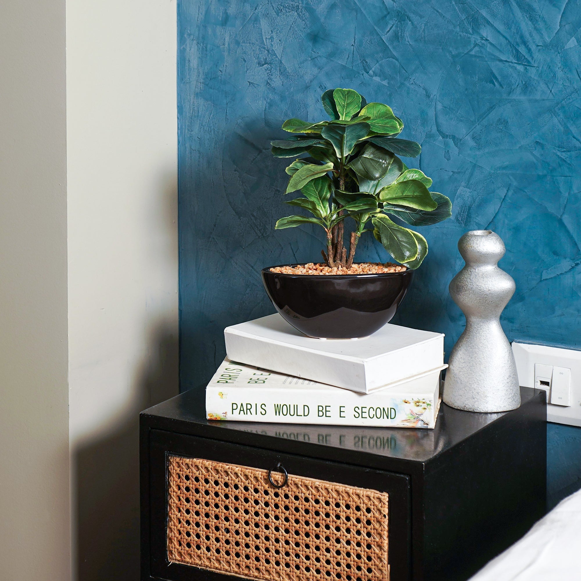 Zen Leaf Bonsai - The Artment