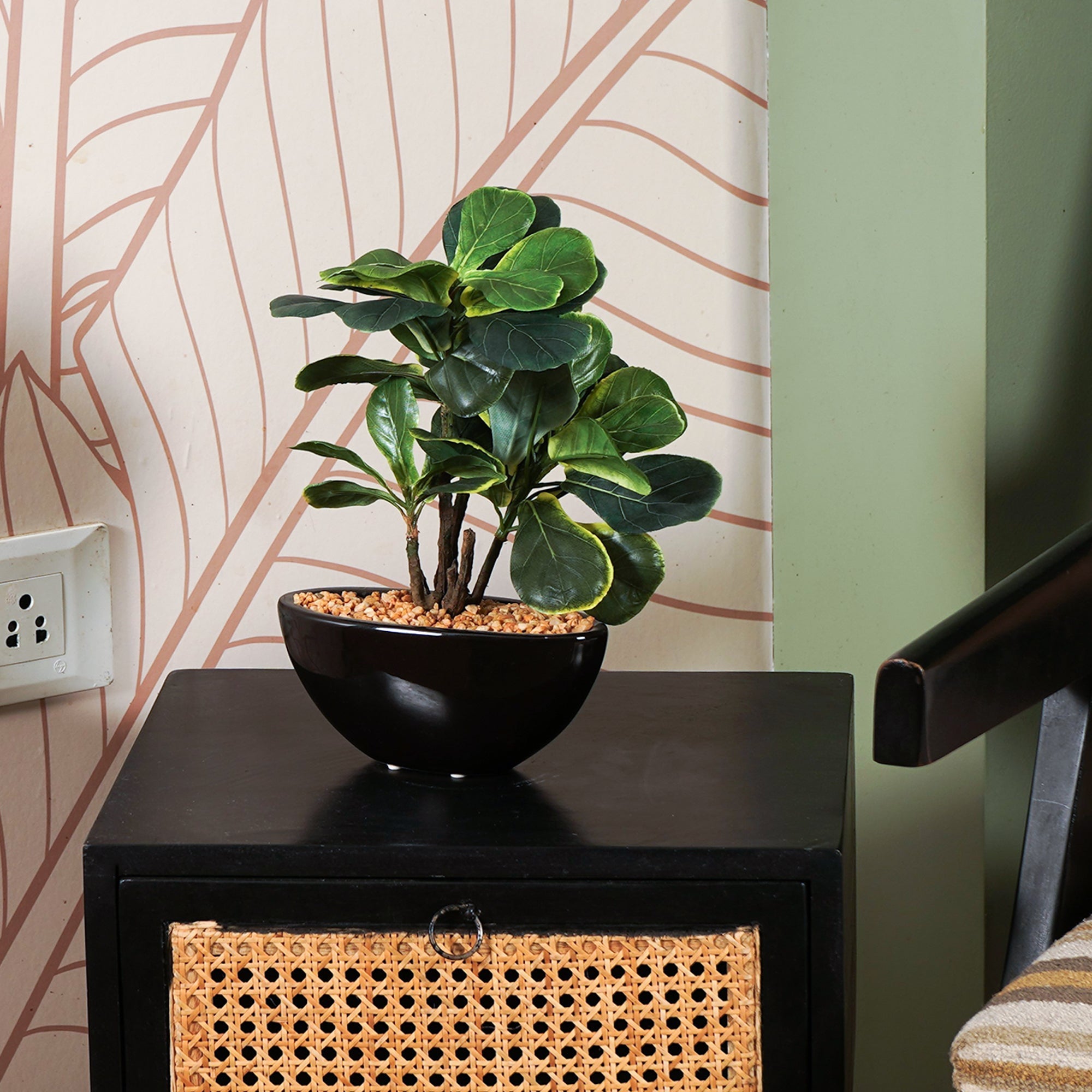 Zen Leaf Bonsai - The Artment